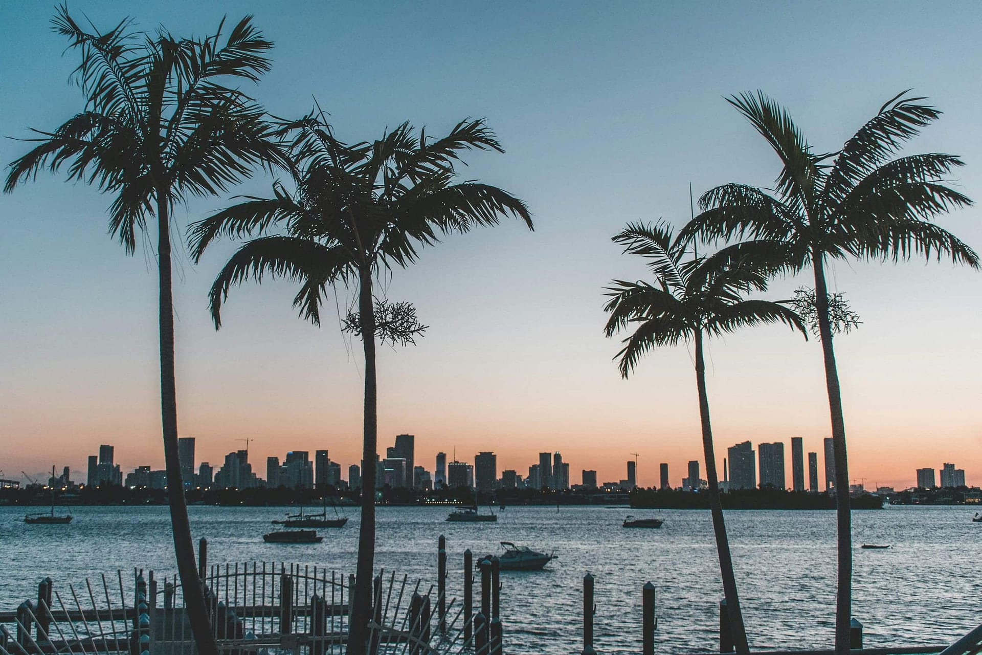 What Happens If You Die Without a Will in Florida? 3 Palm trees silhouetted against a city skyline at dusk