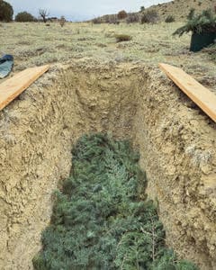 Best Eco-Friendly Burial Materials: A Guide to Green Burial Options 7 Green Burial