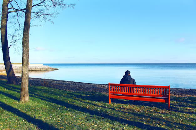 What Happens If You Die Without a Will in Rhode Island? 7 If You Die Without A Will In Rhode Island